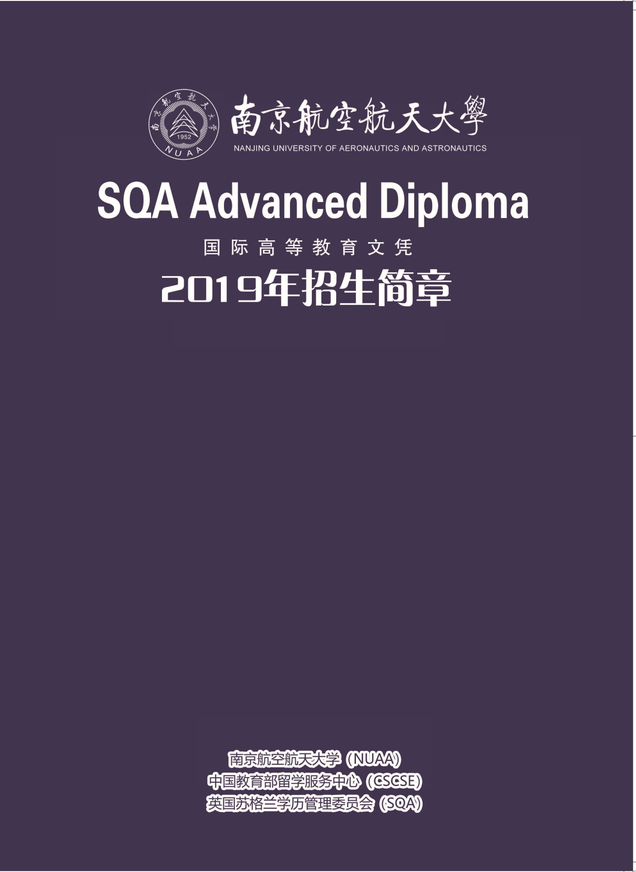 南航中外合作项目