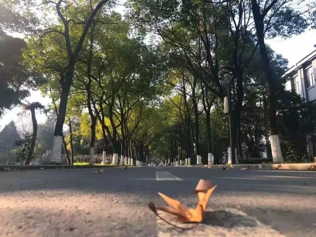 南京航空航天大学自考助学本科 南京航空航天大学自考助学本科