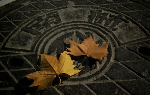 南京航空航天大学自考助学本科 南京航空航天大学自考助学本科