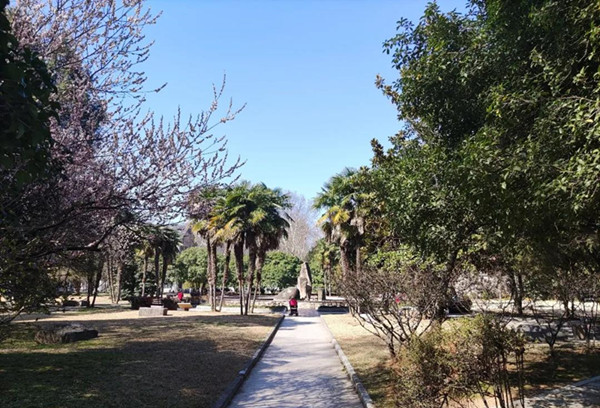 南京航空航天大学自考本科 南京航空航天大学自考本科